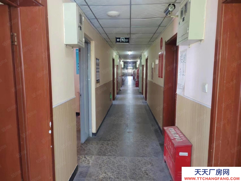 石家莊新華區學府路經貿大學附近獨棟獨院辦公樓公寓出租