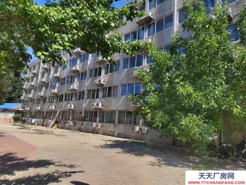 石家莊新華區學府路經貿大學附近獨棟獨院辦公樓公寓出租