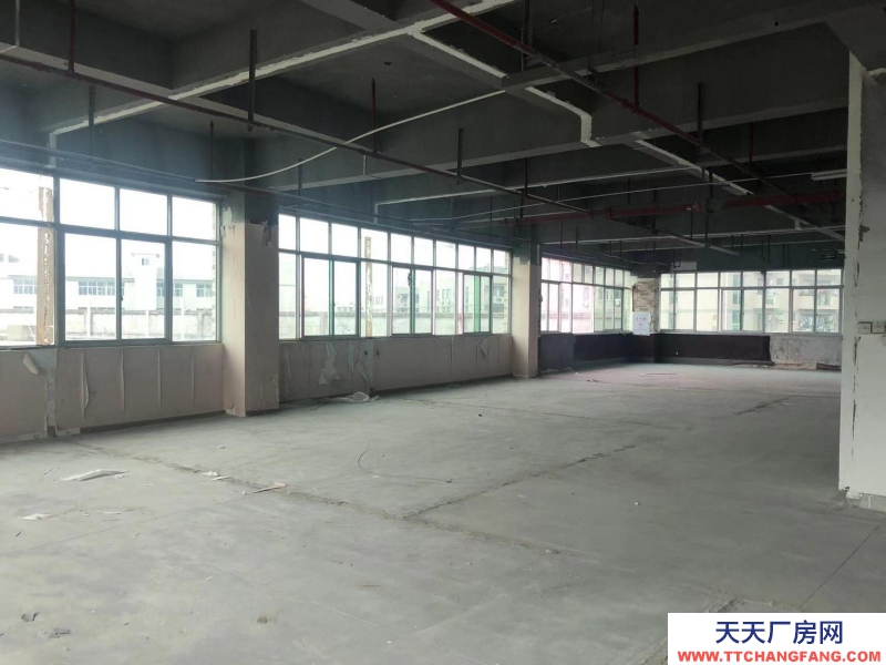 (出租) 福州倉山區(qū)房東直租 送超大露臺 有客梯貨梯 適合辦公+倉儲或展廳