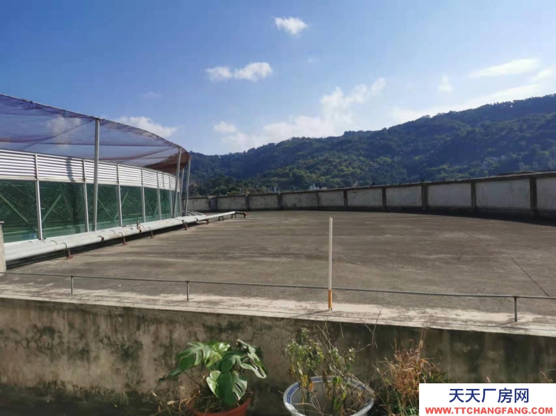 (出租) 福州倉山區房東直租 送超大露臺 有客梯貨梯 適合辦公+倉儲或展廳