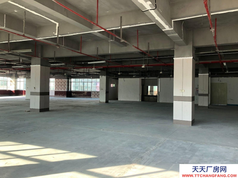 (出租) 福州倉山區房東直租 送超大露臺 有客梯貨梯 適合辦公+倉儲或展廳