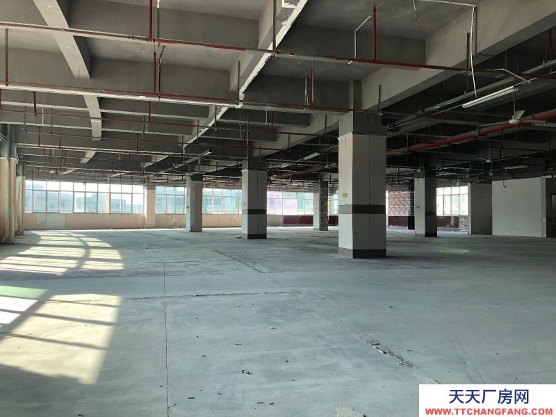 (出租) 福州倉山區房東直租 送超大露臺 有客梯貨梯 適合辦公+倉儲或展廳