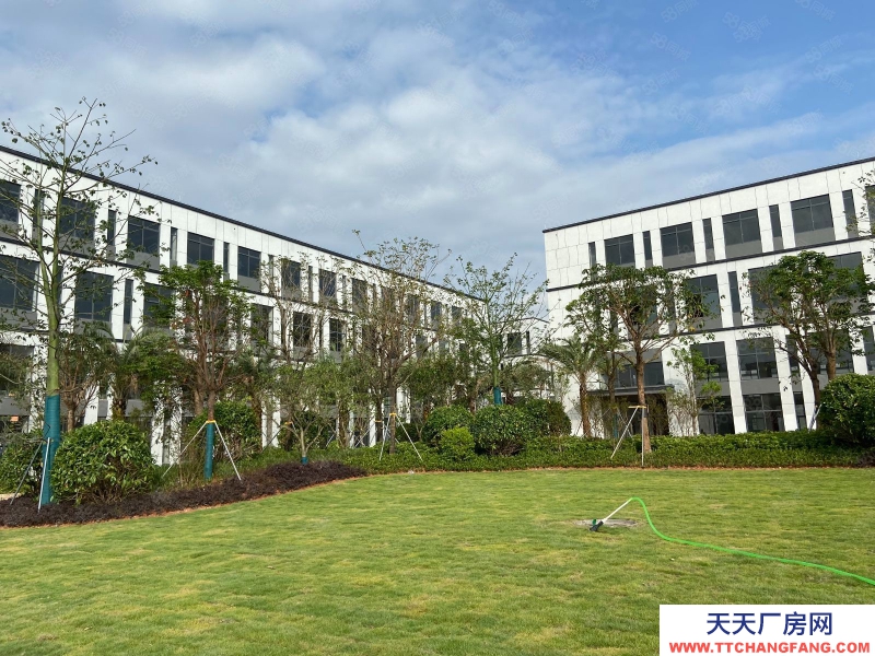 (出售) 芳村地鐵旁800到15000方平層獨棟！電子科技產業集聚！