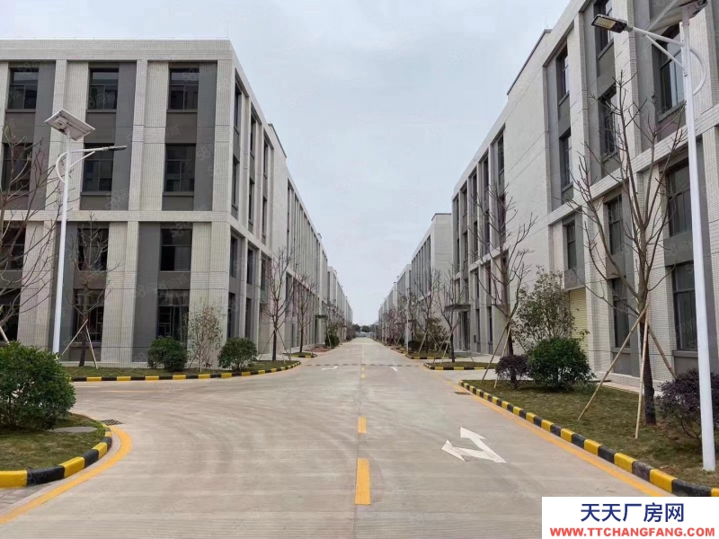 (出售) 芳村地鐵旁800到15000方平層獨棟！電子科技產業集聚！