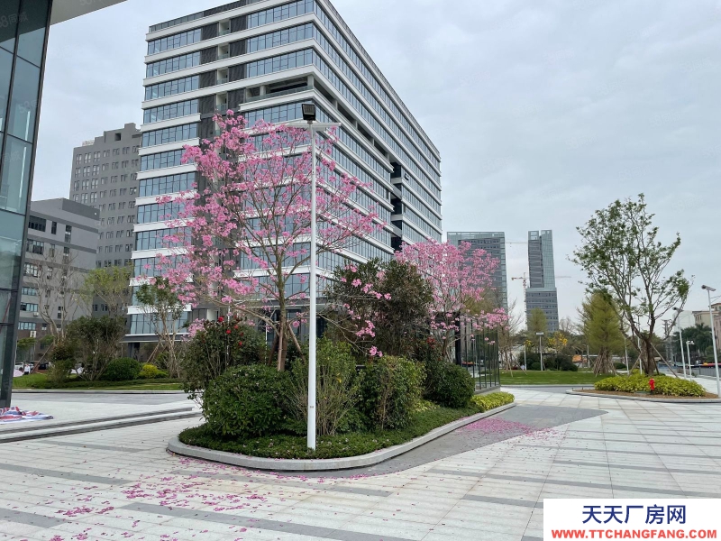 (出租) 越秀 地鐵科技園區(qū) 可生產(chǎn) 可辦公 費用低