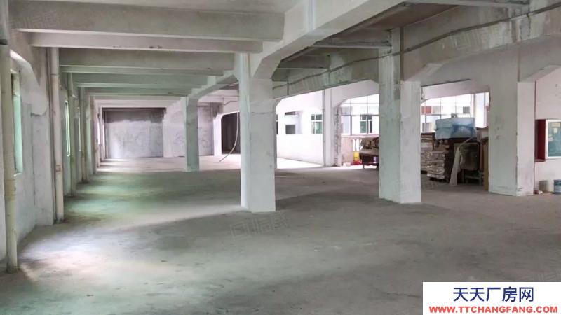 (出租) 越秀12000方廠房出租,有宿舍飯堂標準紅本廠房,交通便利