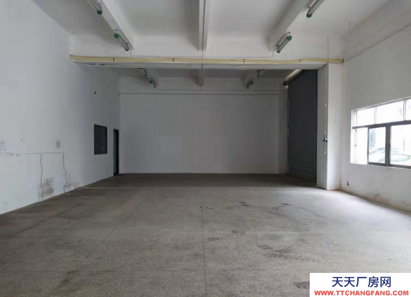 (出租) 越秀東湖一樓200平方出租