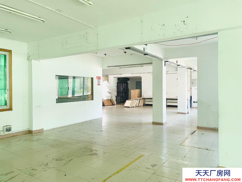 (出租) 越秀免租2個月環市東超筍大平層 獨立院子24小時 任何行業均可