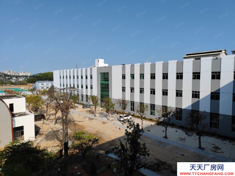 (出租) 番禺近南站園區(qū)80000方園區(qū)空地大可進(jìn)大拖頭租金2字開頭