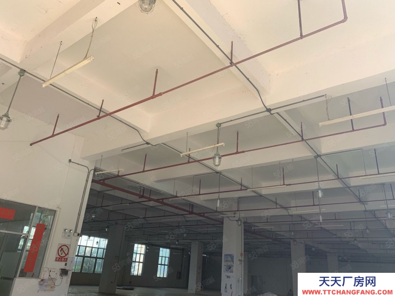 (出租) 番禺獨(dú)院廠房7500平方出租 證件齊全 可辦環(huán)評 市政管網(wǎng)