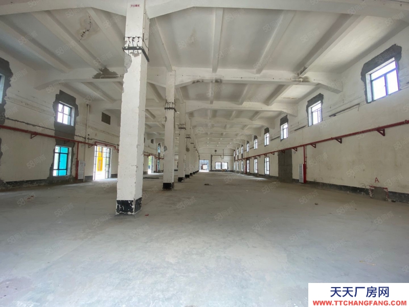 (出租) 番禺南村15000方單一層磚墻到頂廠房出租,適合酒吧攝影