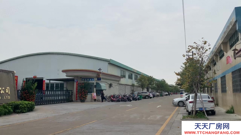 (出租) 番禺沙灣福涌12米高鋼構1180平方出租 可辦環評 證件齊全