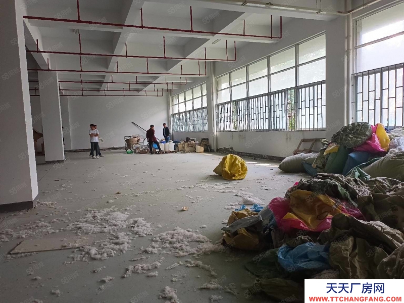 杭州濱江中小型精裝淘寶倉儲，光線通透，位置好200方起租，層高5米