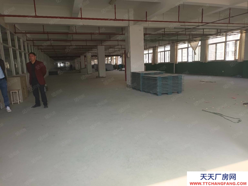 杭州濱江中小型精裝淘寶倉儲，光線通透，位置好200方起租，層高5米