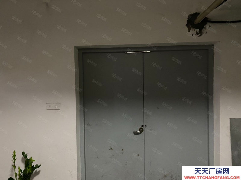 杭州濱江(出租) 倉庫租賃 旺鋪直招 業態包容度大 交通方便 穩定