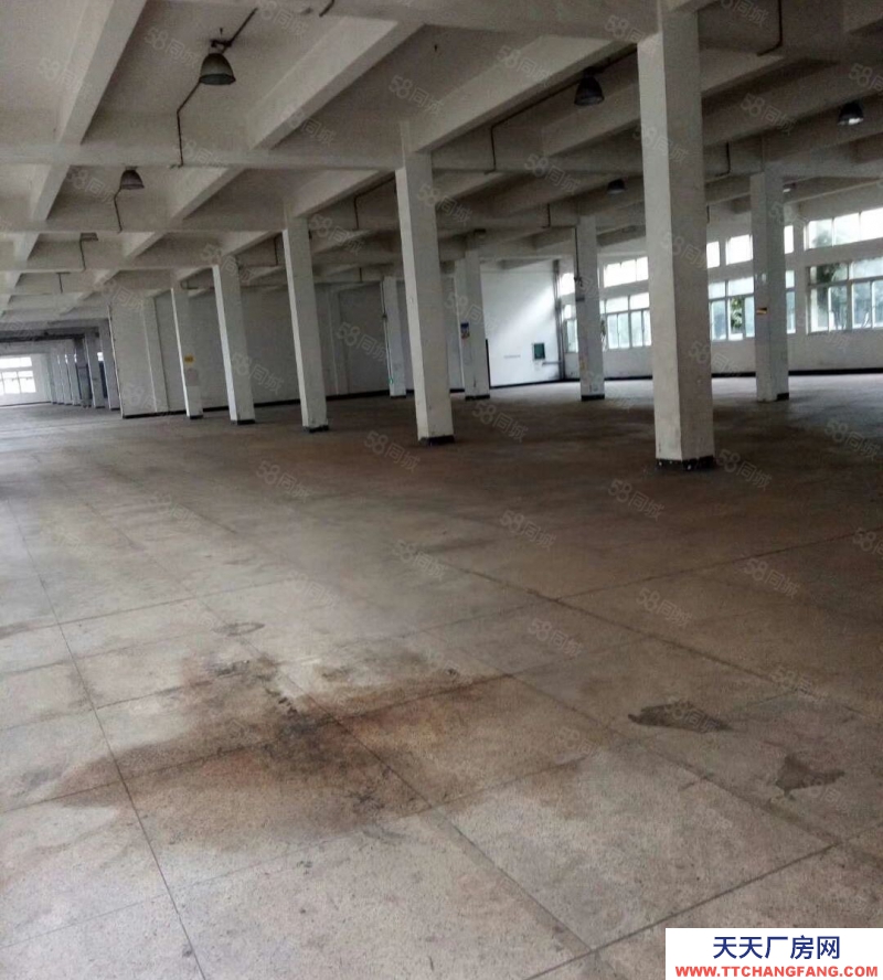 杭州濱江(出租) 三橋大量倉(cāng)庫(kù)出租面積可選擇 小面積120方到2000方