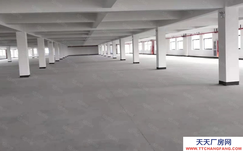 杭州濱江(出租) 大美湘湖倉庫出租大小面積都可選，歡迎各大電商老板參觀入駐