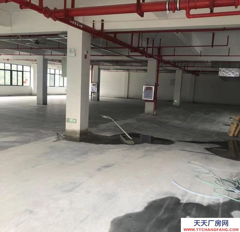 (出售) 福州晉安區5區內一手廠房 可按揭 50年產權