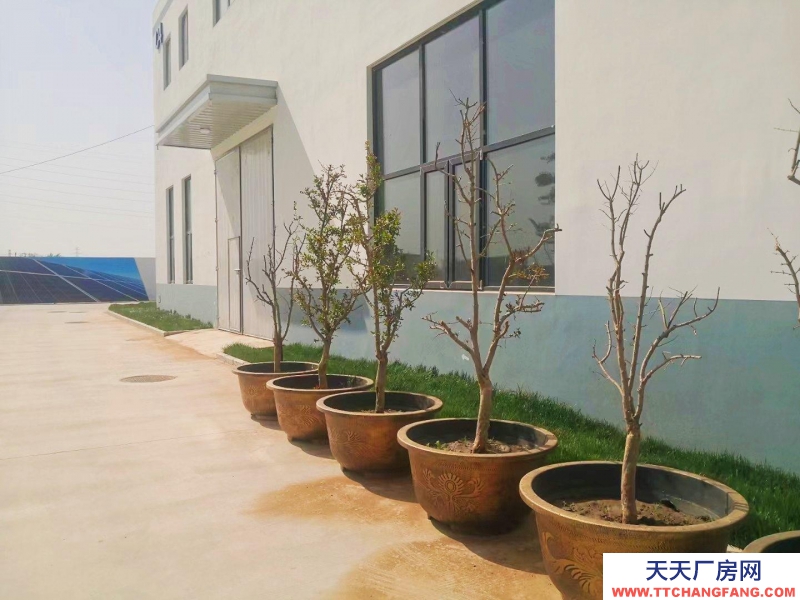 石家莊裕華三層企業獨棟廠房,面積600-2200平