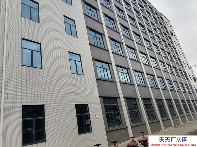 南寧市西鄉塘區出租全新標準廠房倉庫，500平起，可租可售，有一樓！有補貼