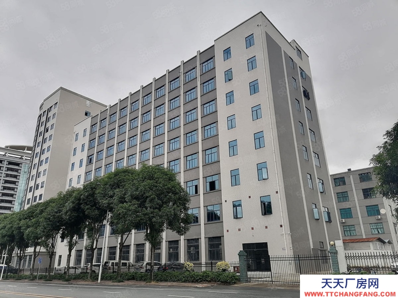 南寧市西鄉塘區出租全新標準廠房倉庫，500平起，可租可售，有一樓！有補貼