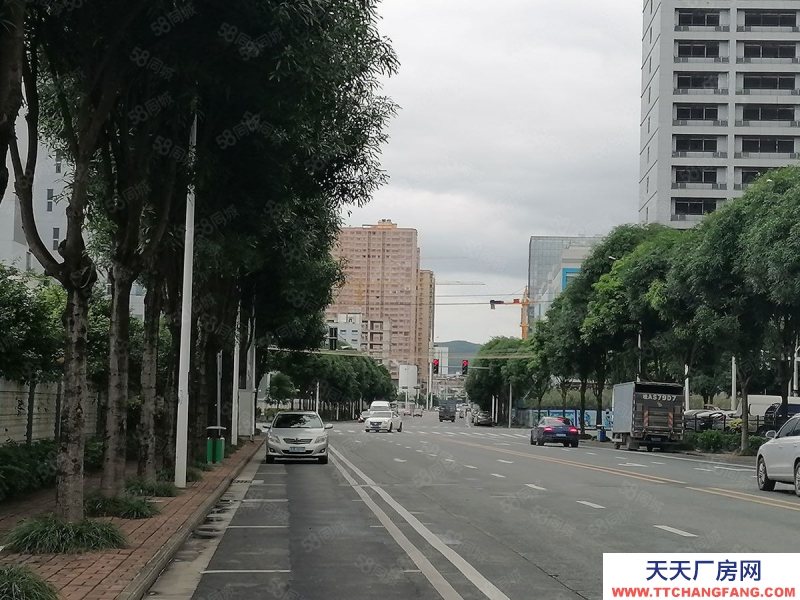 南寧市西鄉塘區出租全新標準廠房倉庫，500平起，可租可售，有一樓！有補貼