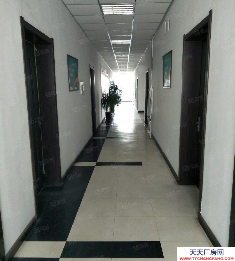 急售!急售!鐵西經濟開發區治金工業園,獨門獨院,交通便利