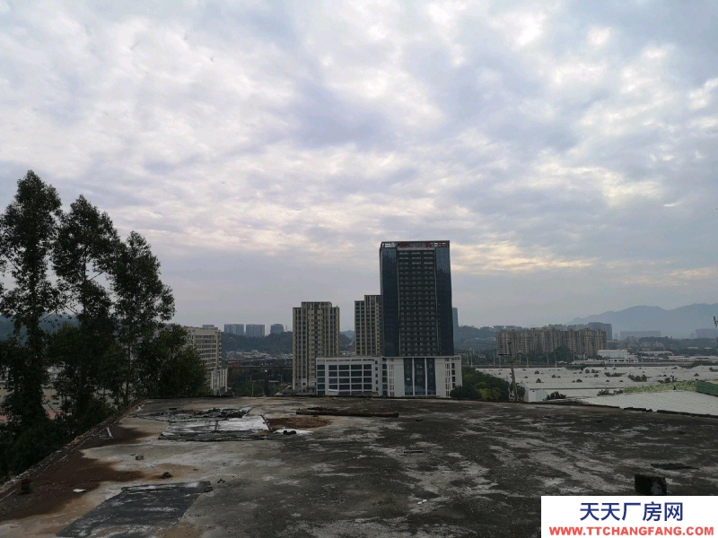 (出租) 房屋及空地出租地址永豐樞紐三環互通口邊上