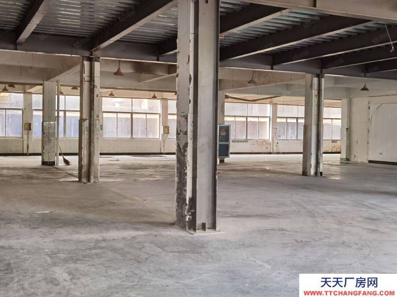 杭州濱江 一樓一樓一樓濱江地鐵口近的廠房倉庫層高4米南北通透，采光明亮