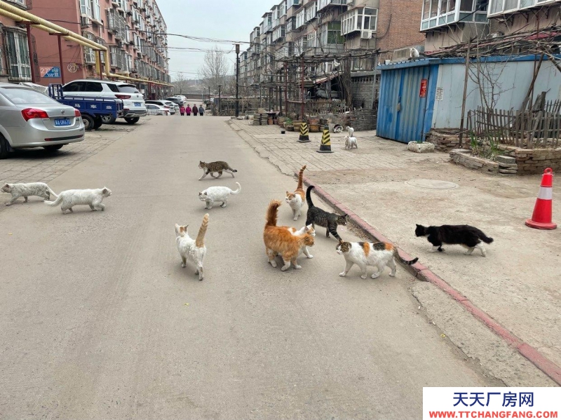 石家莊 井陘 一樓做出租，面積大地段好，價格可面談