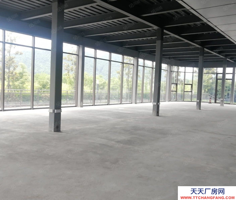 杭州濱江得好房圓美夢，濱江一樓落地窗436方高5.5米，天然氧吧