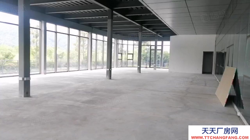 杭州濱江得好房圓美夢，濱江一樓落地窗436方高5.5米，天然氧吧