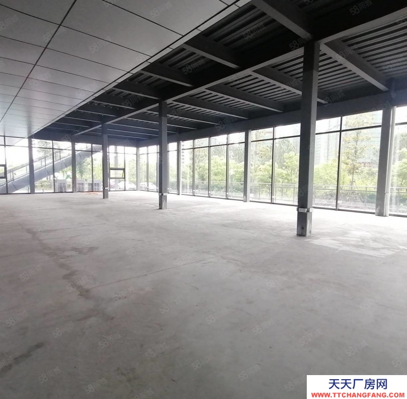 杭州濱江得好房圓美夢，濱江一樓落地窗436方高5.5米，天然氧吧