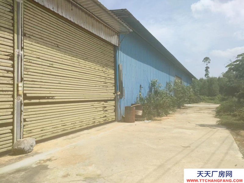 南寧市西鄉(xiāng)塘區(qū)出租2萬(wàn)平花園式廠房/倉(cāng)庫(kù)/可分租/可隔大小