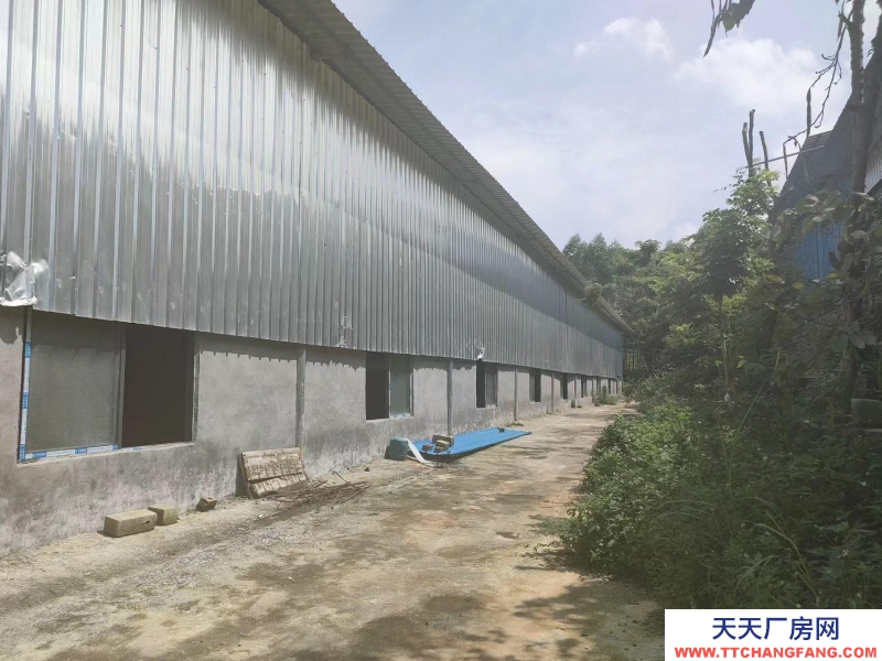 南寧市西鄉(xiāng)塘區(qū)出租2萬(wàn)平花園式廠房/倉(cāng)庫(kù)/可分租/可隔大小