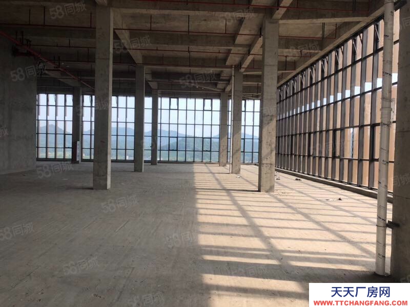 杭州濱江(出租) 整層2000方層高6米可分割,適合創意設計攝影企業