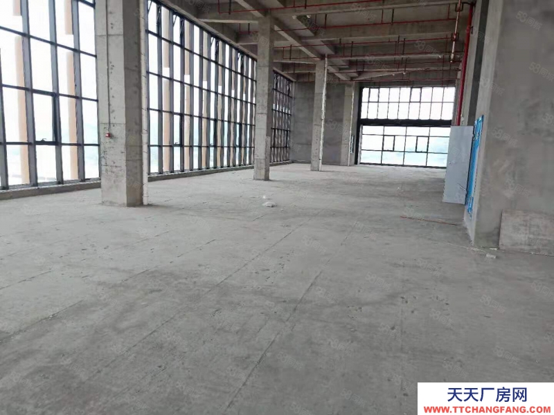 杭州濱江(出租) 整層2000方層高6米可分割,適合創意設計攝影企業