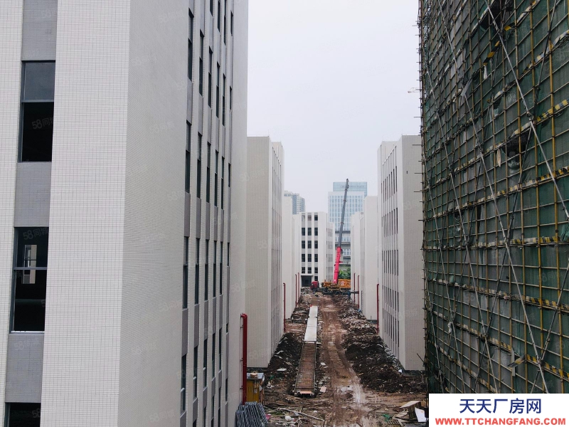 (出售) 獨棟4600方,現(xiàn)樓!國有工業(yè)產(chǎn)權(quán)廠房 南站6公里