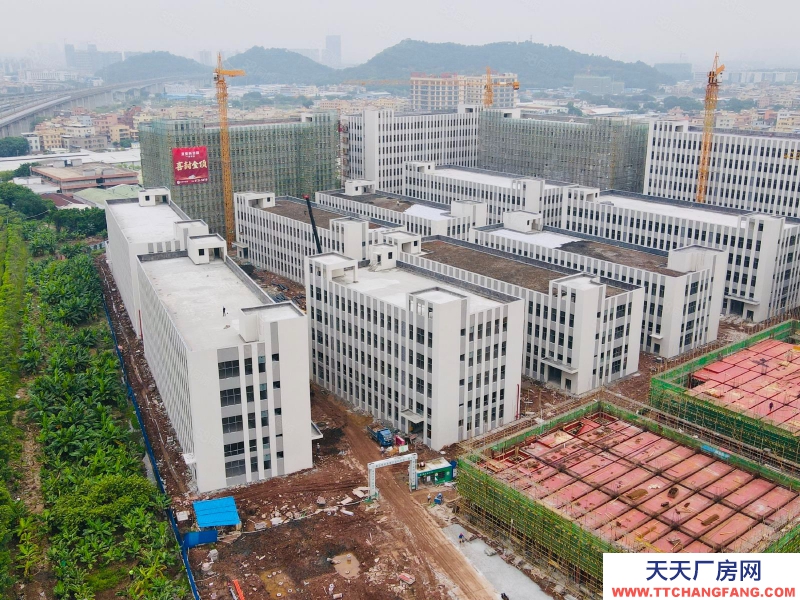 (出售) 獨(dú)棟4600方，現(xiàn)樓！國(guó)有工業(yè)產(chǎn)權(quán)廠房 南站6公里