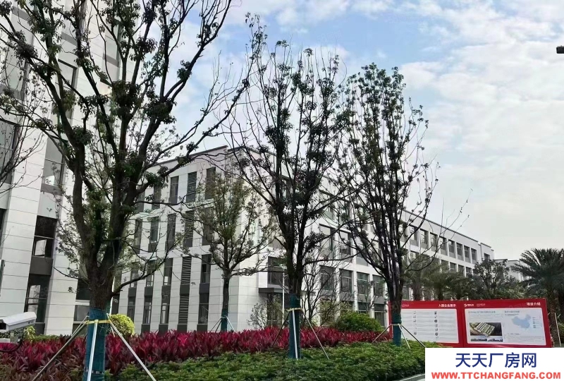 (出售) 海珠五金機電主題工業產業園，紅本房產證