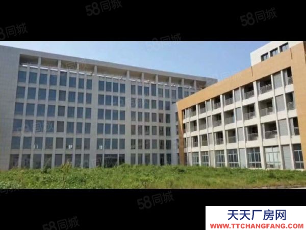 南京市江寧區(qū)高淳經(jīng)濟開發(fā)區(qū)土地43畝2.9萬平標準廠房出售5500萬