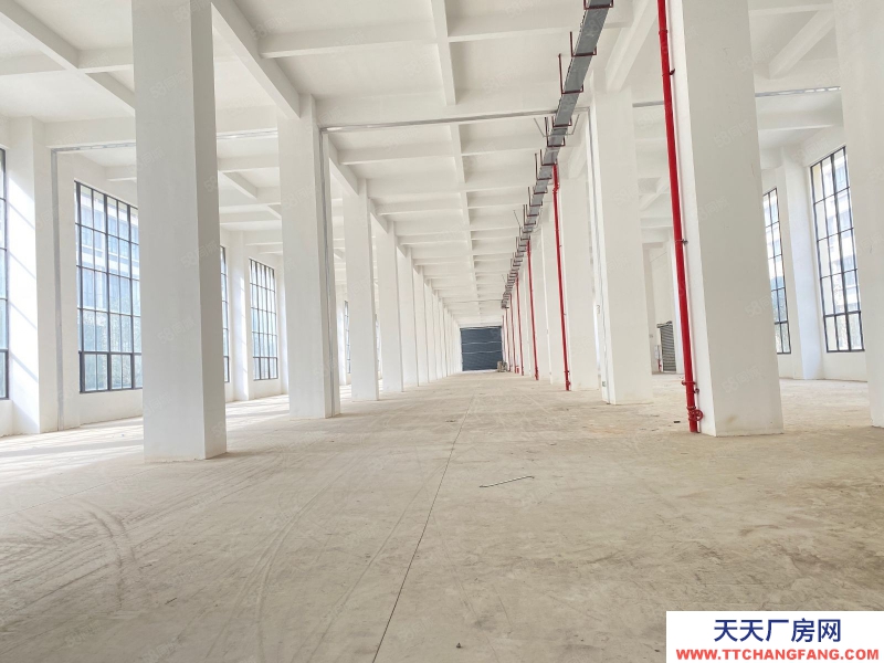 (出租) 福州閩侯縣房東出租 高新區(qū)6萬平全新廠房招商