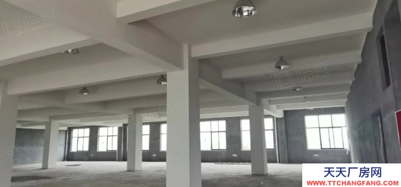 杭州濱江特價！高標廠房3層1695，每層585平，二三樓預留吊裝