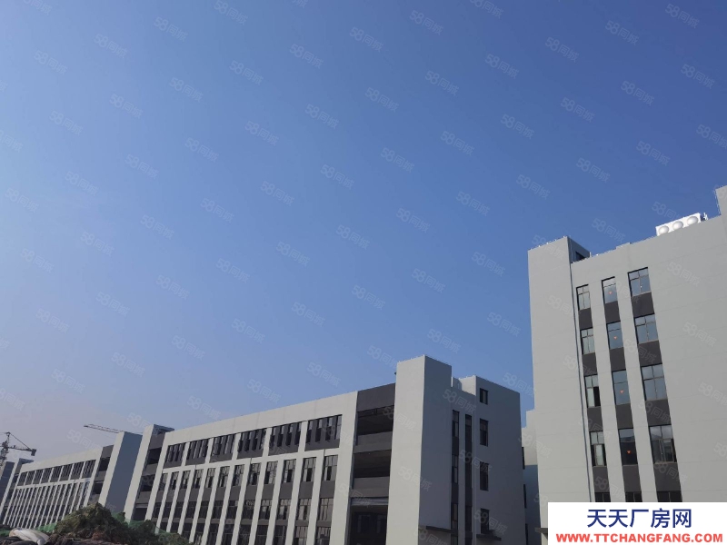 杭州濱江特價(jià)！高標(biāo)廠房3層1695，每層585平，二三樓預(yù)留吊裝