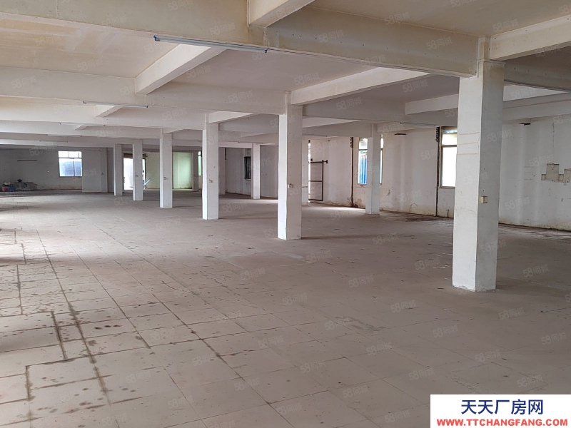 (出租) 花都區(qū)花城街獨門獨院2800方廠房倉庫低價出租主干道旁邊