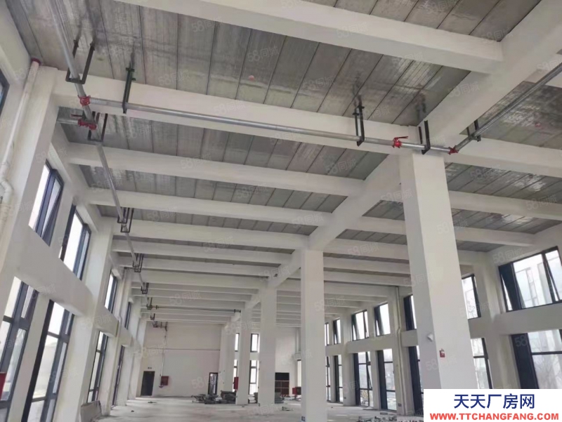 杭州濱江 核心產業園 小面積獨立產權 經濟實用