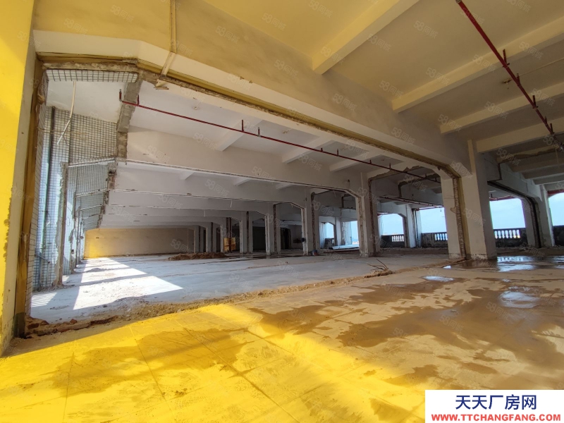 (出租) 花都區(qū)獅嶺出租3000方廠房!