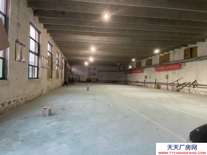 石家莊 正定南牛鄉(xiāng)東賈村村東外環(huán)