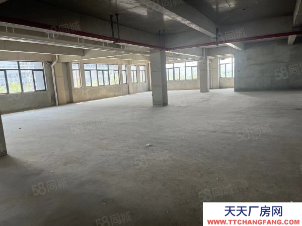 南京市浦口區小柳工業園 200到3500平 多套出租 隨時看房