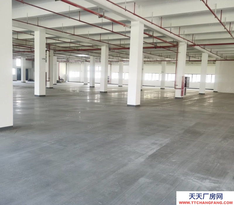 杭州 濱江區工業廠房10000方廠房出售